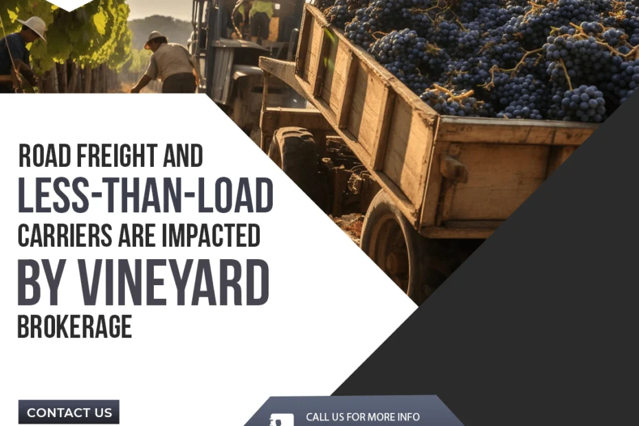 Vineyard Brokerage: Revolutionizing Logistics Excellence